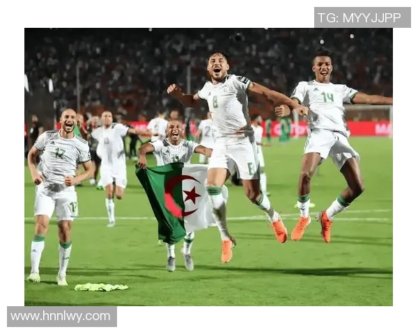 阿尔及利亚与尼日利亚的足球对决分析及历史回顾