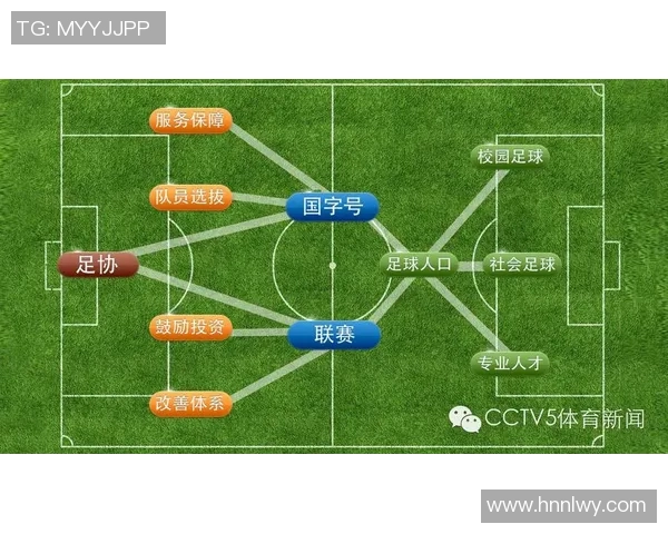 成都足球队实力对比深度解析与未来发展展望